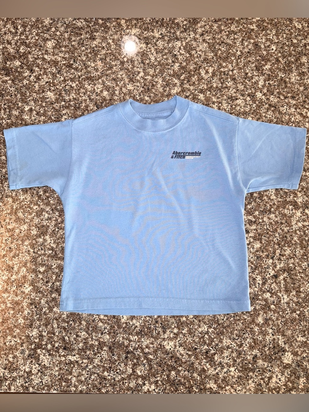Abercrombie & Fitch Light Blue Short Sleeve Tee with Chest Logo